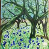 Bluebells in oak wood. College valley